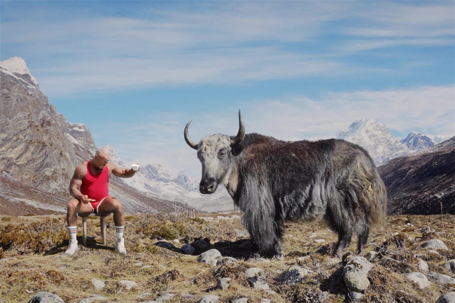 Yak on a mountain
