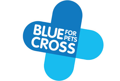 Blue Cross new branding