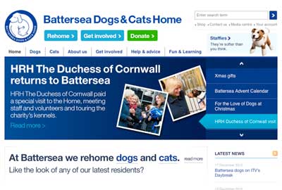 Thumbnail Preview Of A Drive Item With Images Tom Hardy Battersea Dogs Celebrity Dogs