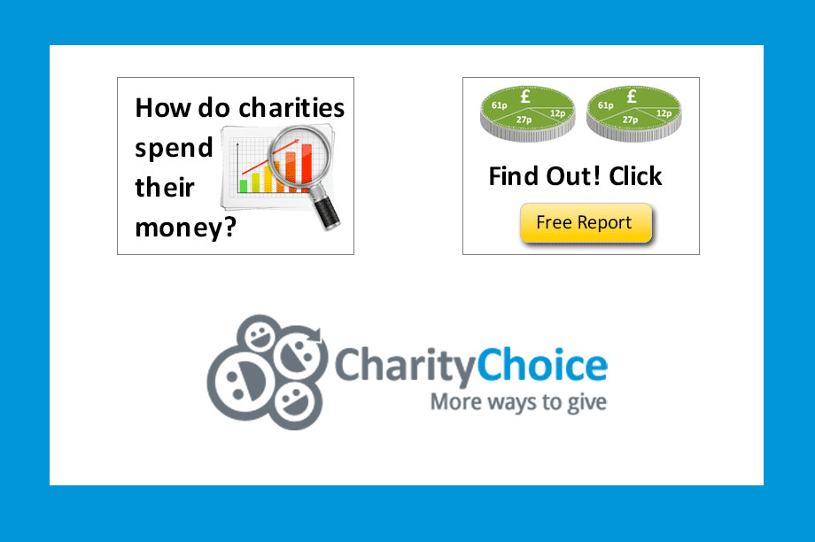 Charity Choice publishes free financial reports with breakdown of