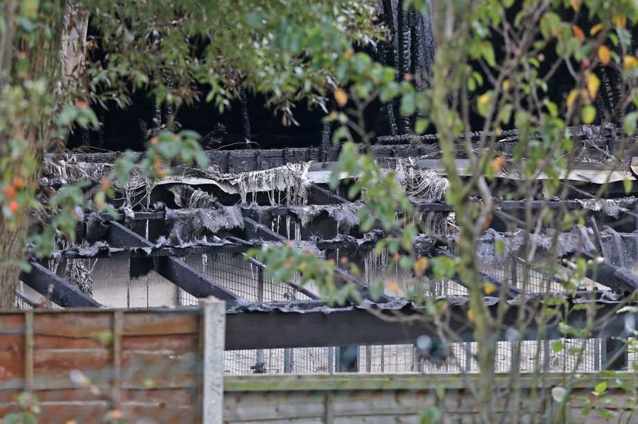 Manchester Dogs' Home after the fire