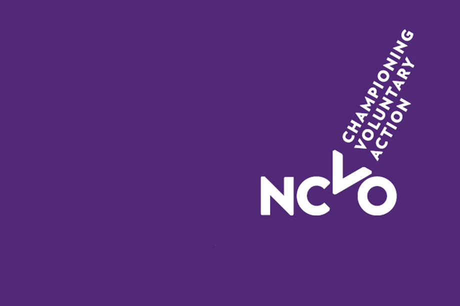 National Council for Voluntary Organisations launches new logo in brand