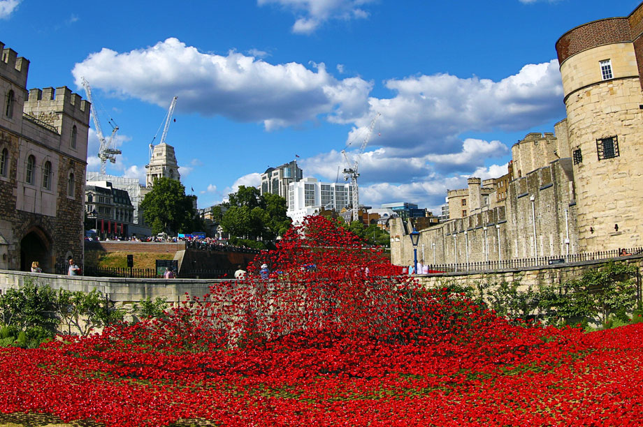 remembrance poppy tower of london for sale