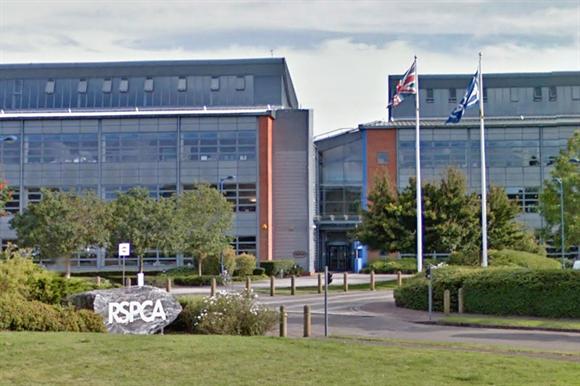 RSPCA: without a chief executive