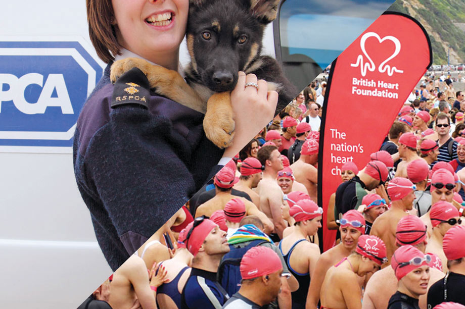 RSPCA and BHF: broke the law