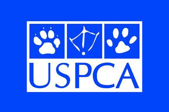 Ulster Society for the Prevention of Cruelty to Animals