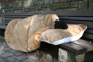 Duvet will raise money for charity