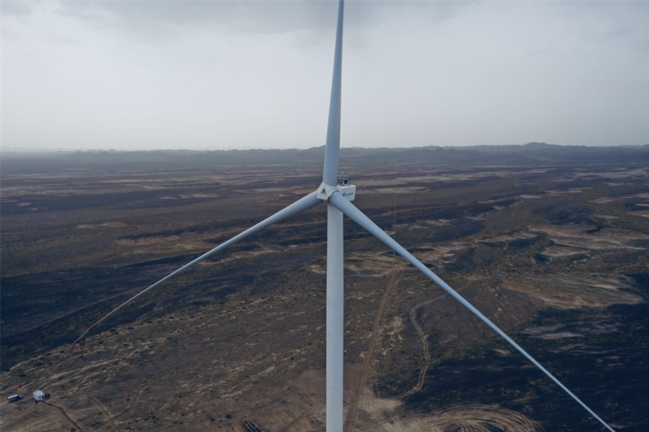 Which OEMs installed the most wind power capacity in China in 2025
