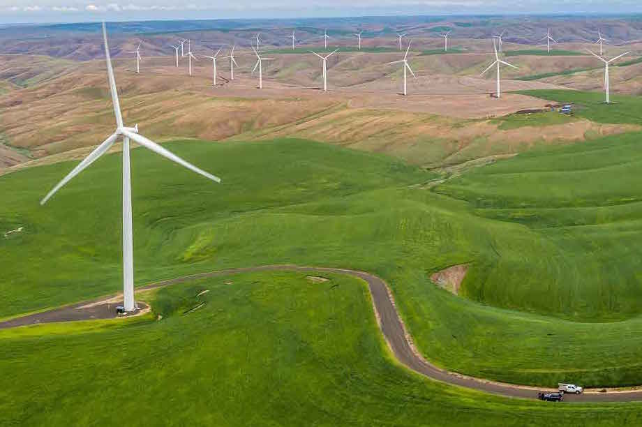 Cost of wind could be halved by 2030, report suggests