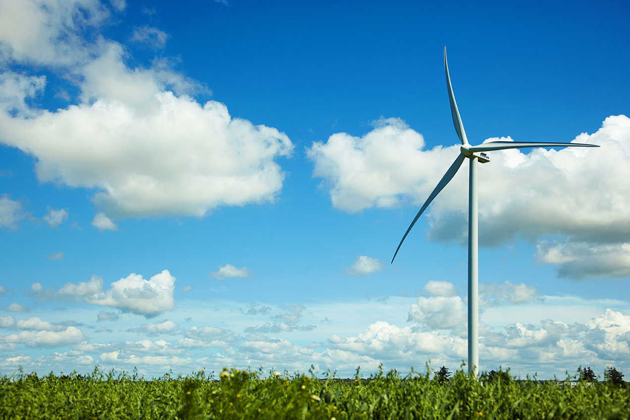 Windページです Jacobs MD 70 - 1,50 MW - Wind turbine