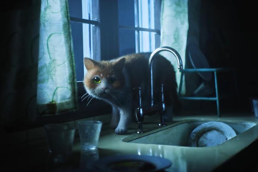 Behind the scenes of the first horror film made just for cats