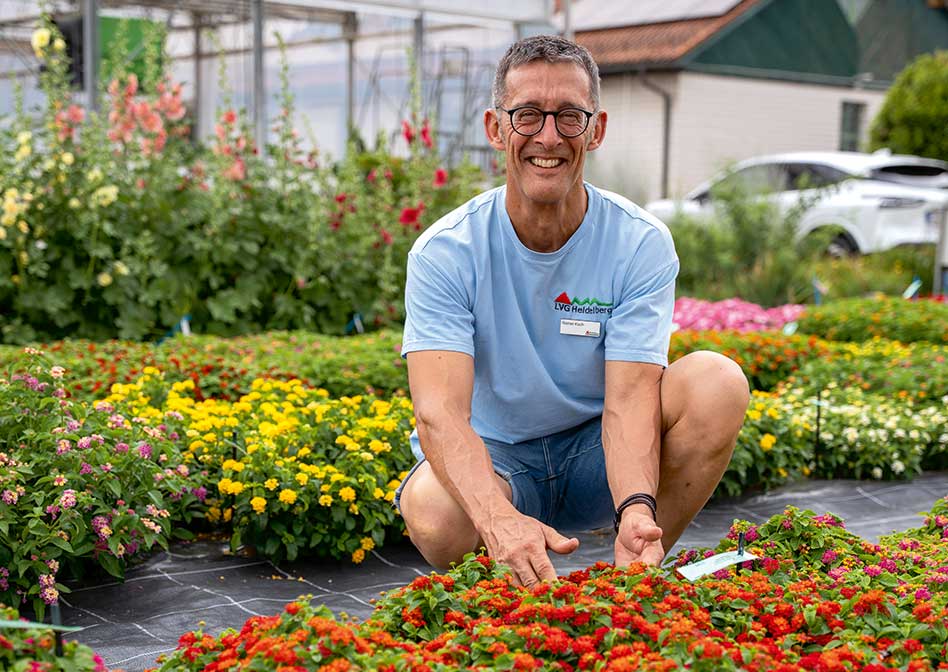 Beet & Balkon: Mehr als nur Farbe im Sommersortiment 2027