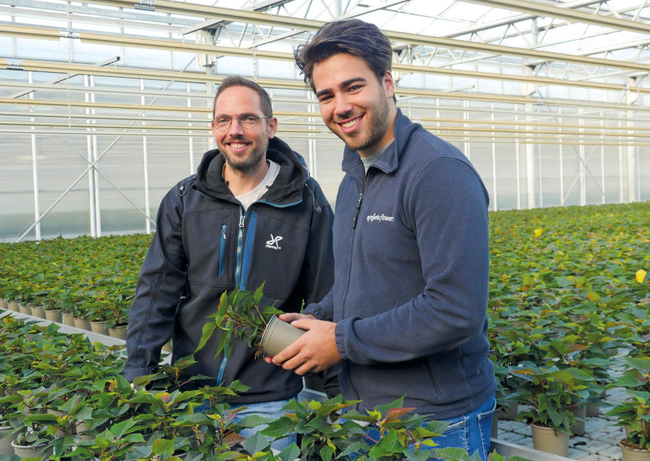Zierpflanzenproduktion: Grenzhopping am Niederrhein