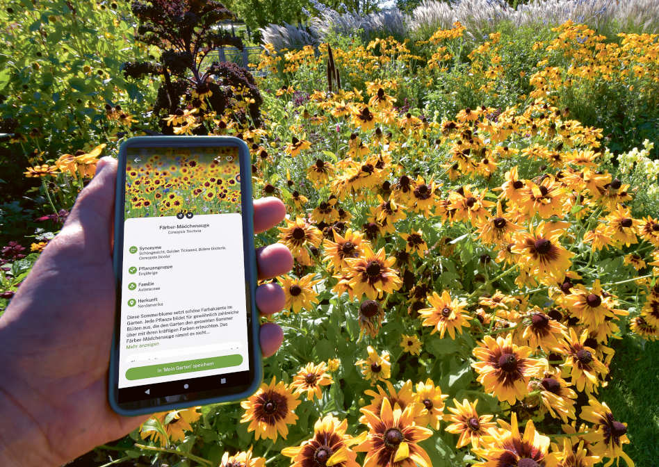 Welche Garten-App hilft Hobbygrtnern wirklich weiter?