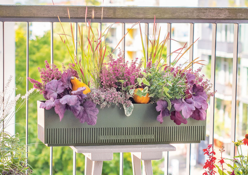 3 plant hydroponic system The Rise Garden 3