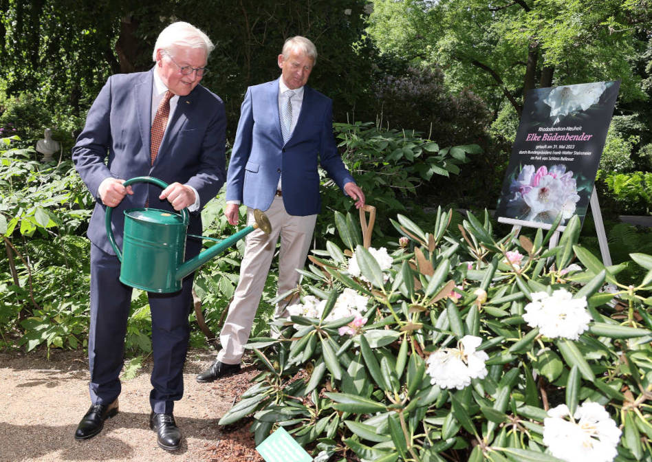 Bundespräsident Steinmeier tauft neue RhododendronSorte