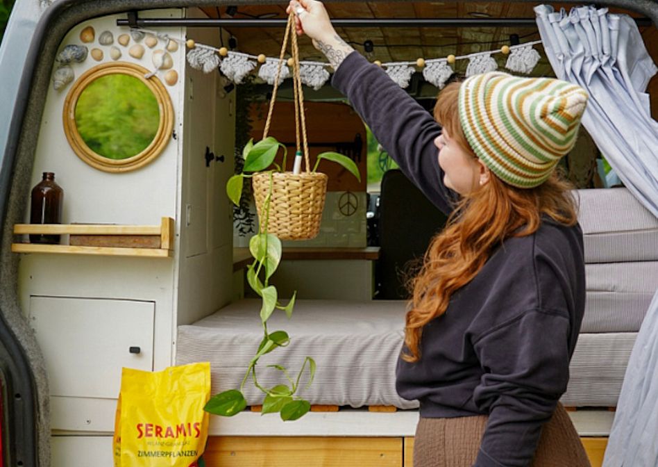 mssinger saatgut Blumensamen "Mssinger Sommer"  Fischer's EM-Chiemgau Online-Shop