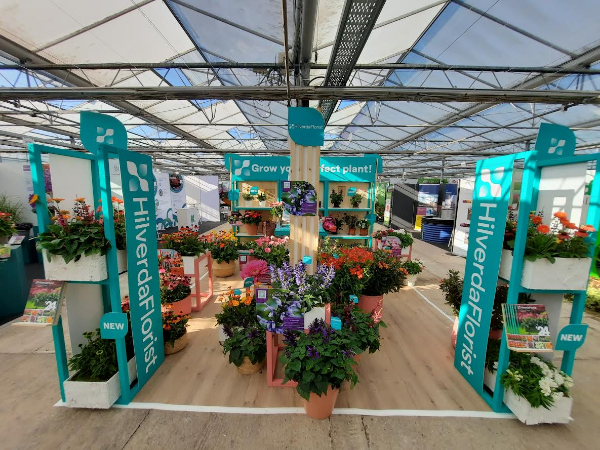 HilverdaFlorist gives plant ranges a new look at Four Oaks | HortWeek