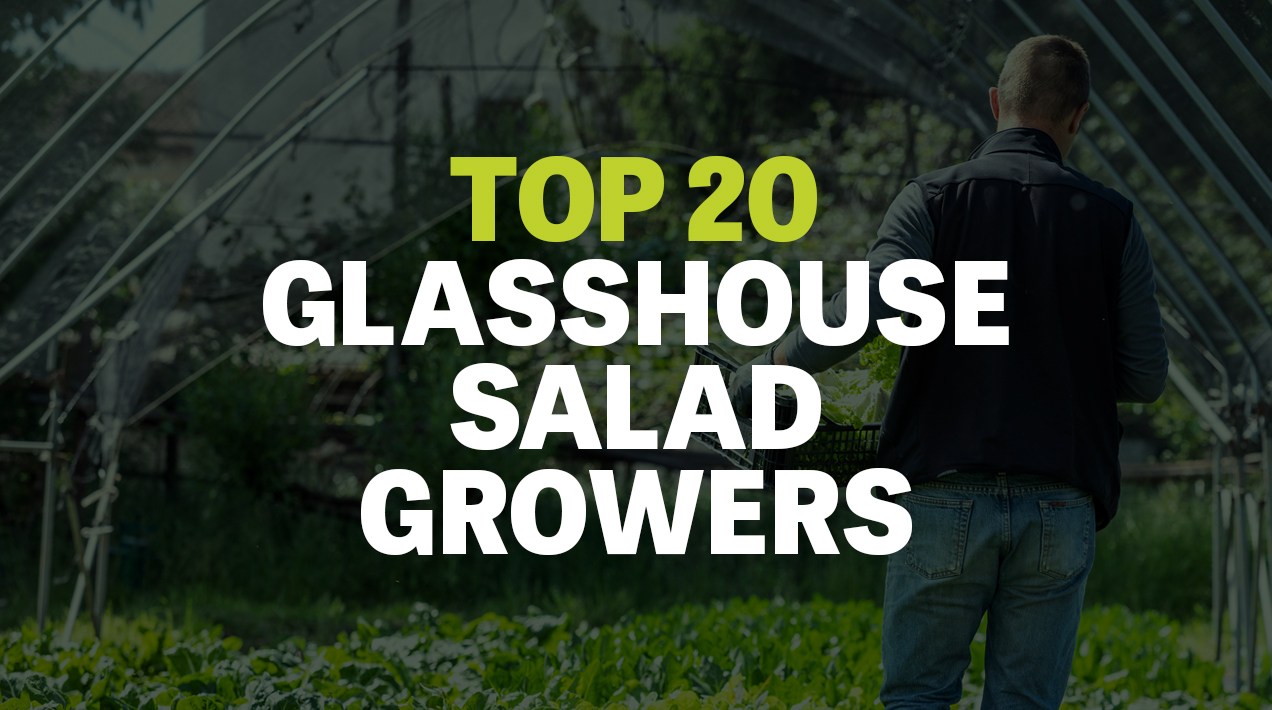 Energy costs drive diversification among growers in this year's Top 20