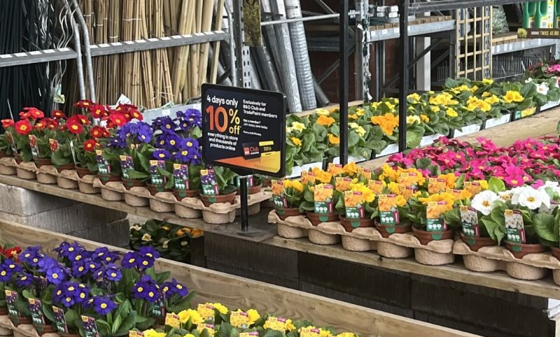 B&Q use recycled fibre trays for plants to replace plastic