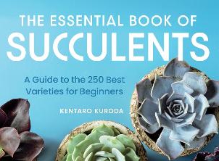Book Review: The Essential Book of Succulents | HortWeek