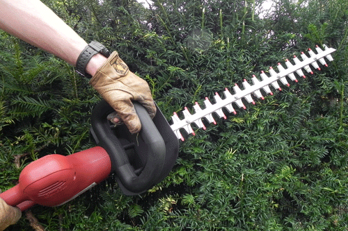 The little wonder on sale hedge trimmer