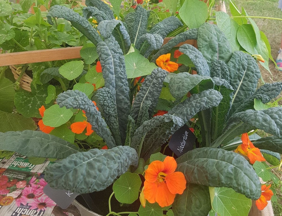US attack on Iran brings UK food security into question | HortWeek