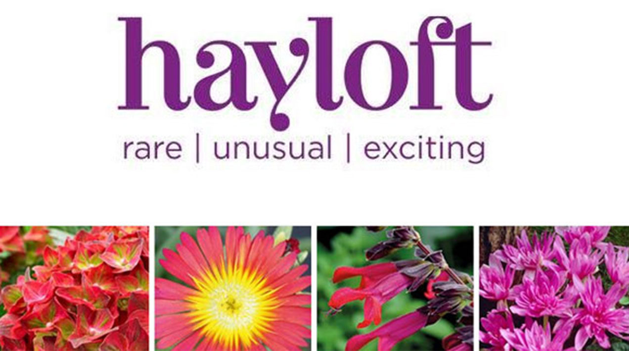 EXCLUSIVE: Hayloft Plants sold | HortWeek