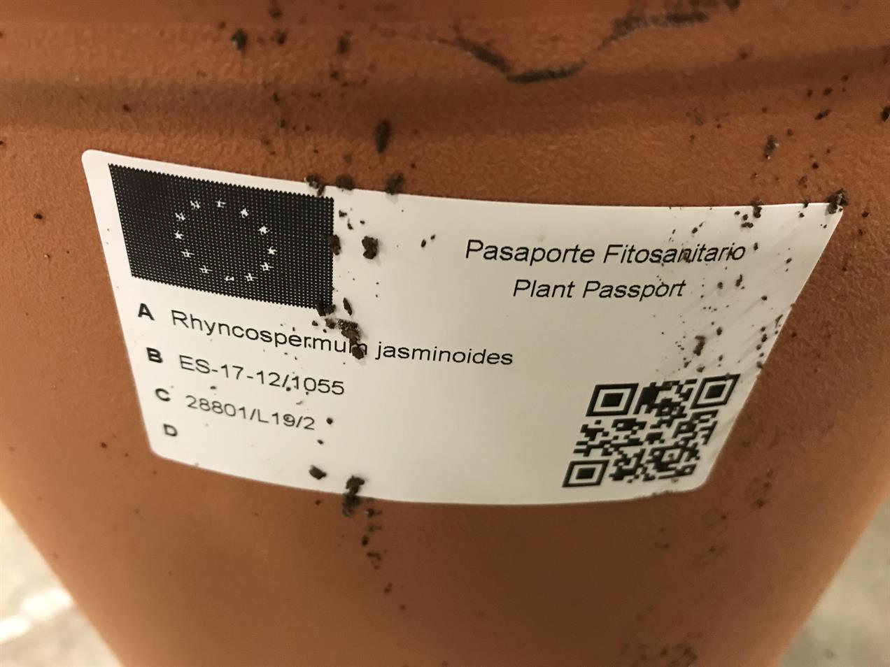 Plant passport guidance updated | HortWeek