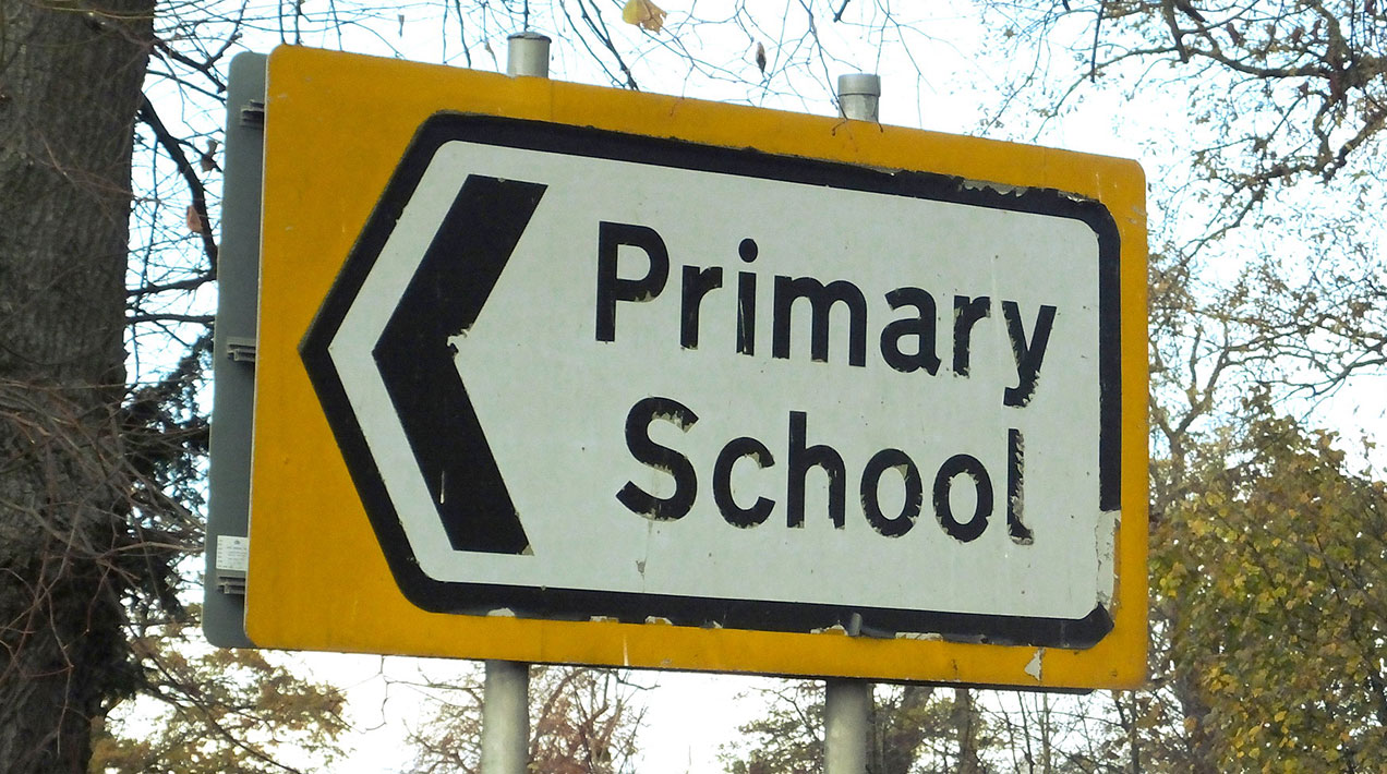 Huge schools grounds maintenance tender up for grabs | HortWeek