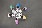What structures can primary care networks adopt?
