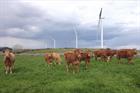 WindEconomics: Irish consumers pay just €1 a year for wind