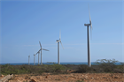 Insight report: Latin American wind sector hit by Covid-19 and debt
