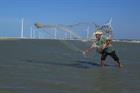Do PPAs still offer the best deal for wind?
