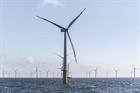 Commission to scrutinise Butendiek over bird protection claims