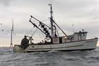 Ørsted partners with US fishing coalition