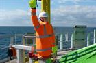 Scarecrow system provides 'astonishing' results offshore