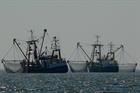 US projects concede turbine spacing to fishing industry demands