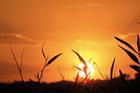 How Europe's wind drought and heat wave hit owners and operators