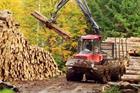 Legal challenge over EU forest biomass support