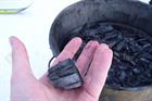 IrBEA highlights Irish biochar potential
