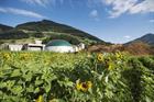 EBA highlights industrial wastewater sector’s biogas potential