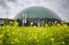 EU regulators say biogas should be covered by methane leaks policy