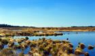 Finland defends use of carbon-intensive peat