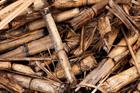 European Commission backs €320m for new biomass-fired projects