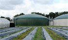 UK spring statement offers biomethane boost