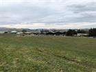 Iona Capital funds 8.8MWth biogas plant