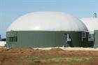Poland launches subsidy auctions for waste and bioenergy projects