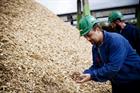 20.8% rise in wood pellet use by CHP plants
