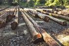 Eqtec wins US biomass build deals